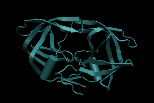 Protein-ligand complex in the gas visualization.png