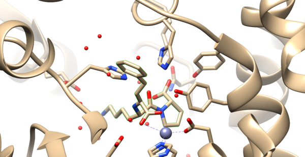 Ligand Embed.png