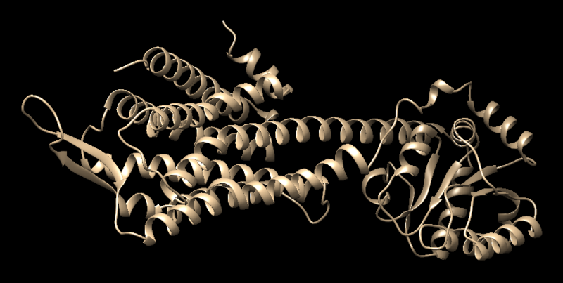 File:Proteinonly.png