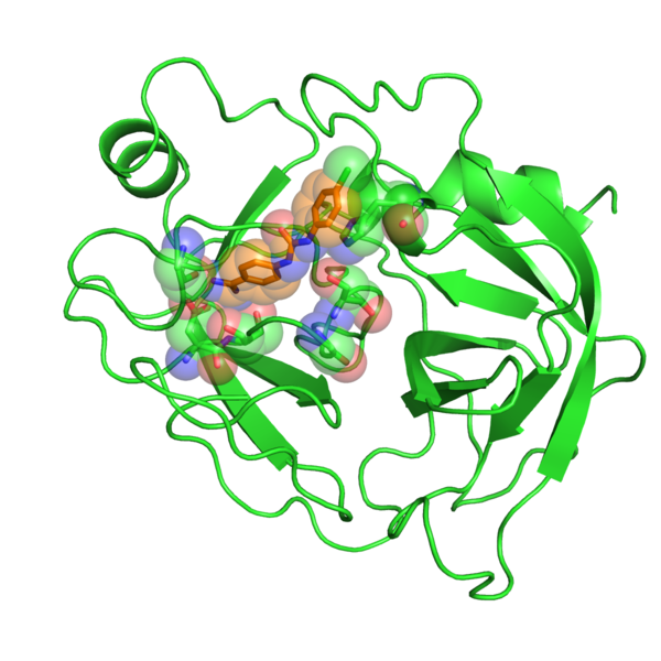 File:2016 1BJU receptor surface.png