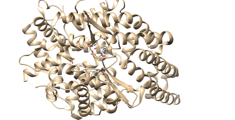File:Protein only.png