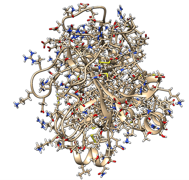 File:2p16 dockprep protein.png