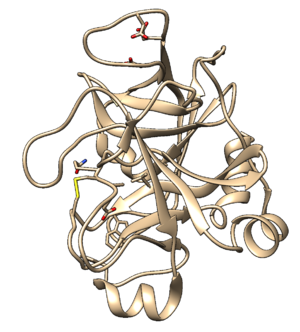 2p16 noh protein.png