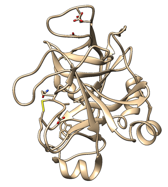 File:2p16 noh protein.png