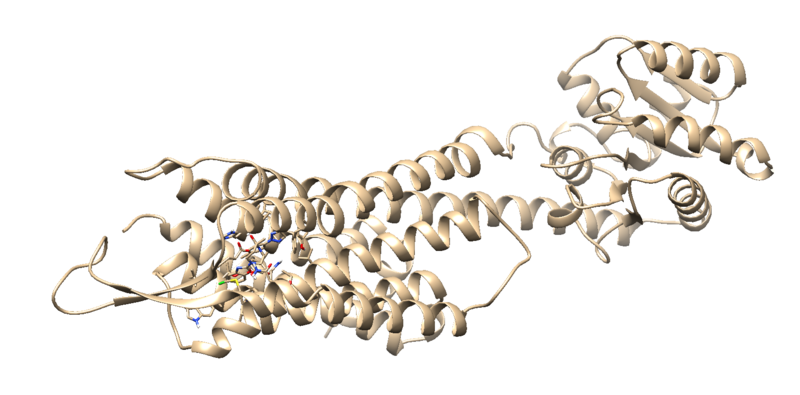 File:Tleap output image.png