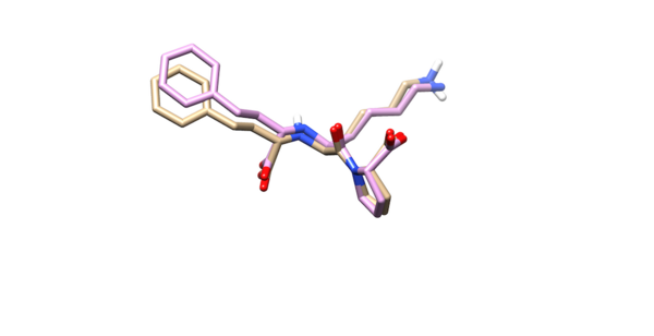 Overlap Ligand.png