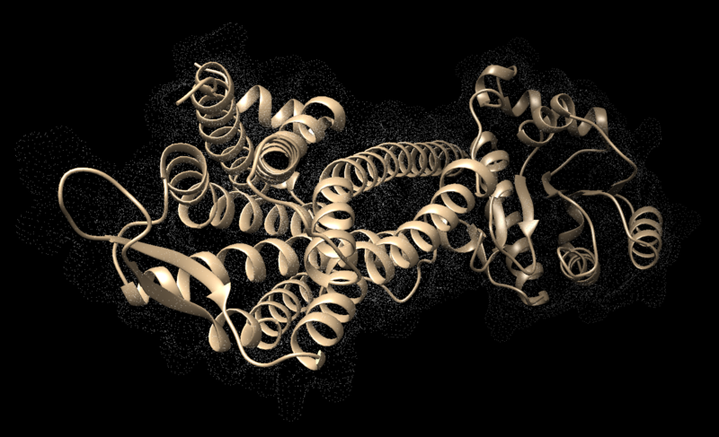 File:Dms overlay.png