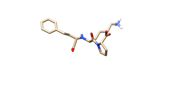 Best Scoring Ligand.png