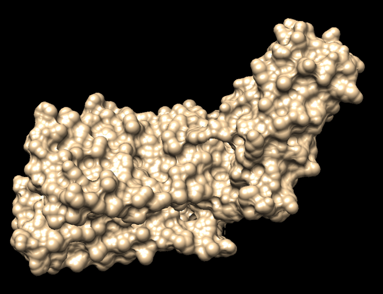 File:4s0v surface.png