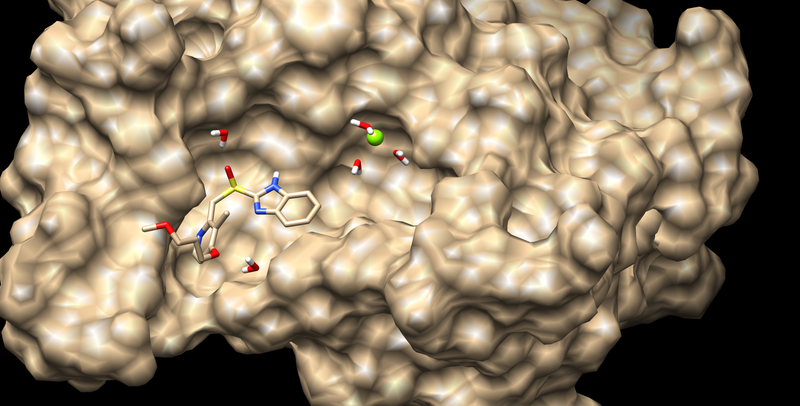 File:2017 3pgl receptor surface.png