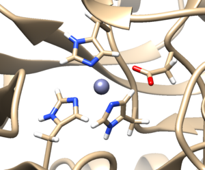 1ndv protein hydrogens check.png