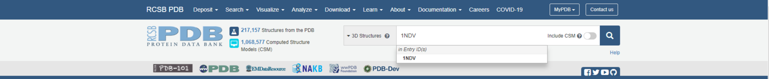 PDB SearchBar.png