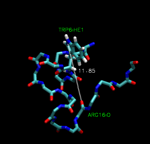 File:Trpcagesimhbond.bmp