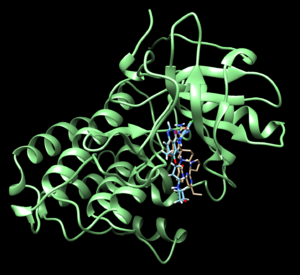 Lowest original 2ITOprotein.png