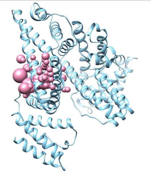 File:2BXF receptor and selected spheres.jpg