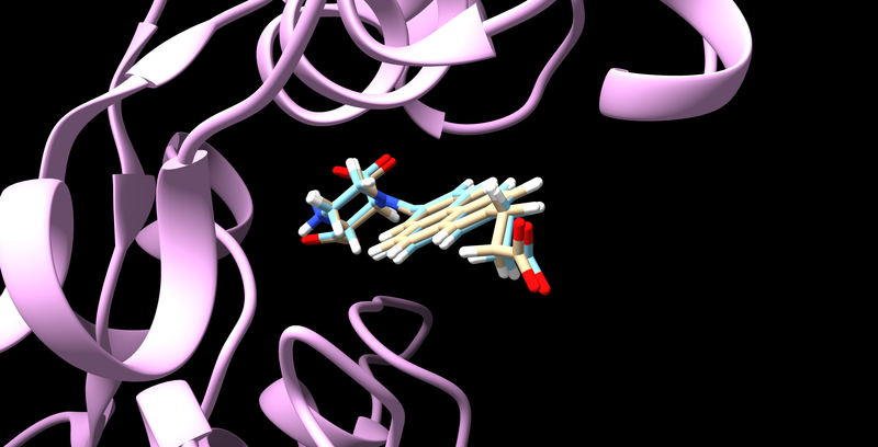 File:6UZW receptor with the original ligand and the minimized ligand.png