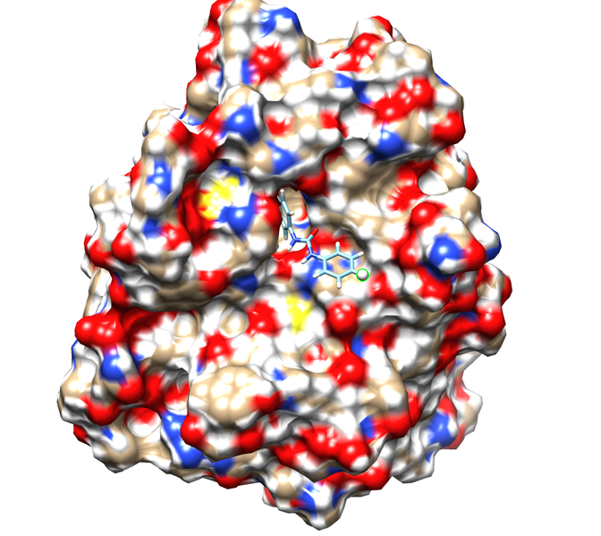 File:Image dummy hydrogen atom.png