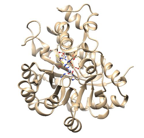 1ndv raw pdb.jpg