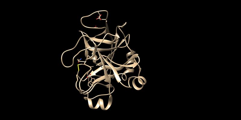 File:2p16 noh protein.jpg