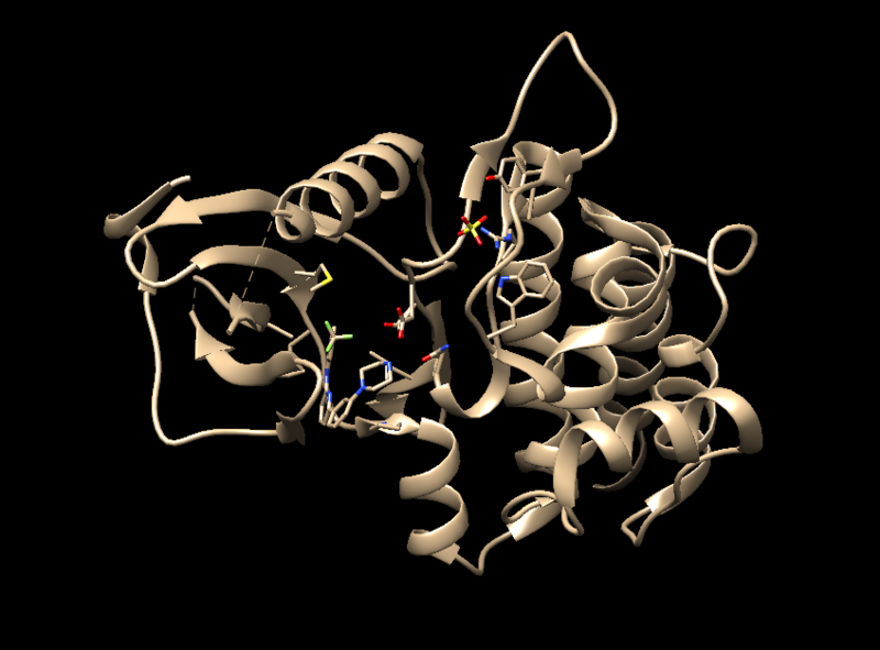 File:4F4P.png
