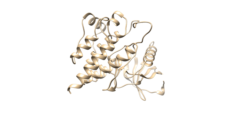File:4f4p rec noh.png