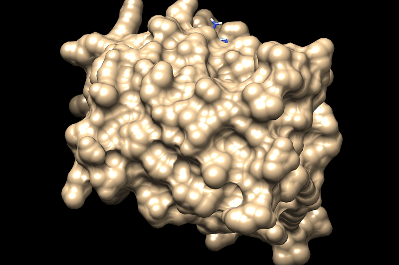 File:Temp0302.png