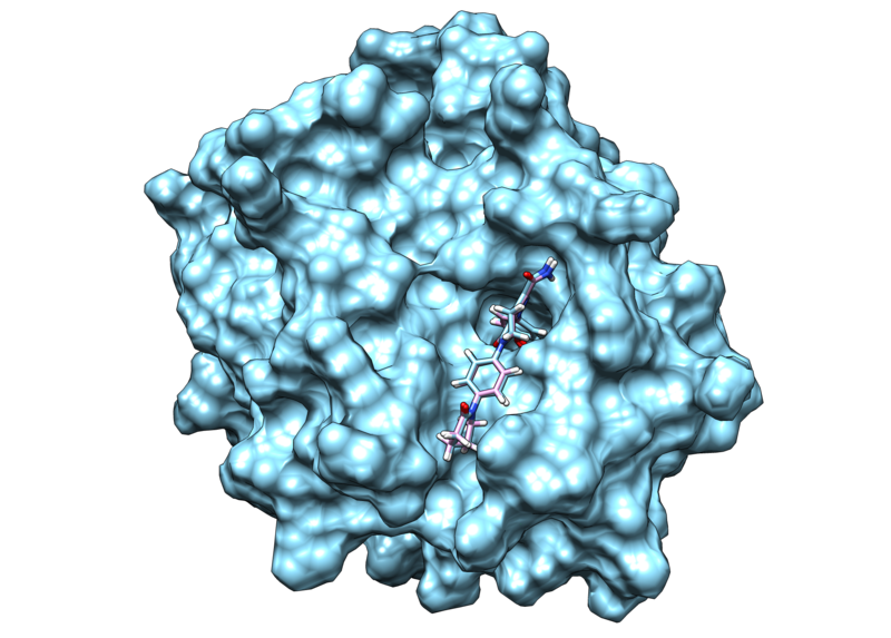 File:2p16 rigid.png