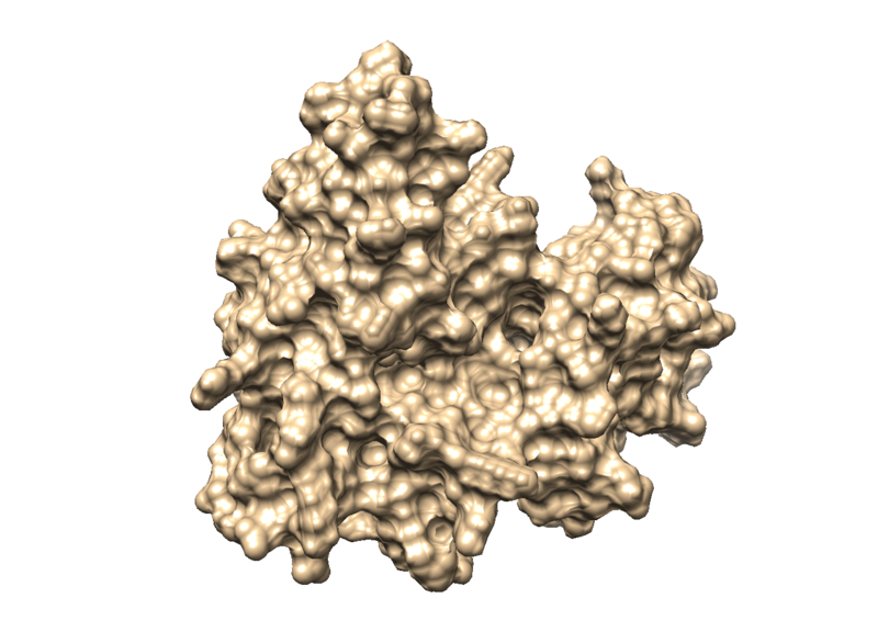 File:3WZEsurface.png