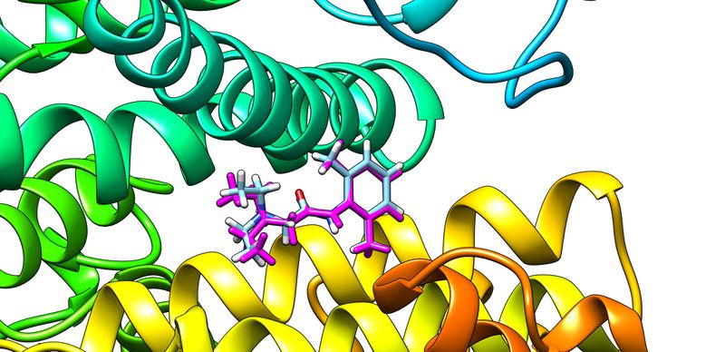File:20190304 crystal and energy minimised ligand figure for wiki.jpg