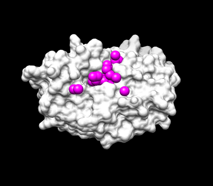 File:Spheres surface receptor 1HVR 2014.png