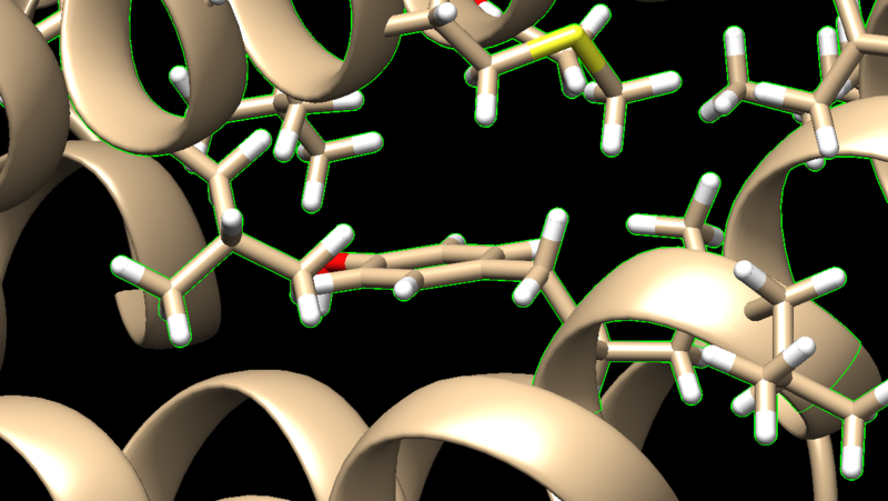File:Honprotein.png