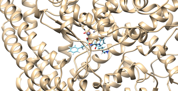 Ligand In 1O86 DN.png